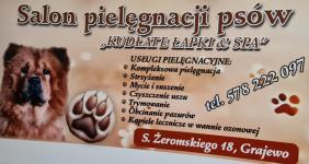 SALON PIEL臉GNACJI PS脫W "KUD艁ATE 艁APKI" FRYZJER DLA PS脫W, OBCINANIE PAZUR脫W, TRYMOWANIE, K膭PIELE W WANNIE OZONOWEJ SALON PIEL臉GNACJI PS脫W "KUD艁ATE 艁APKI" FRYZJER DLA PS脫W, OBCINANIE PAZUR脫W, TRYMOWANIE, K膭PIELE W WANNIE OZONOWEJ