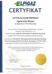 AUTO GAZ ELEKTRONIKA - MONTAŻ I NAPRAWA SAMOCHODOWYCH INSTALACJI GAZOWYCH